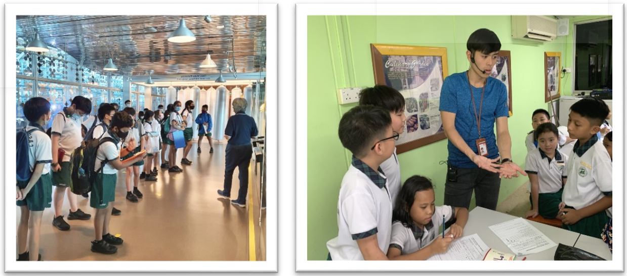 Two school scenes: students in uniforms standing in a modern hall, and a teacher instructing children at a table.